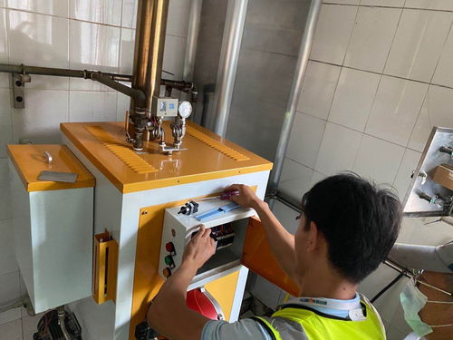 專業蒸汽技術賦能 食品加工蒸汽發生器優化抹茶風味